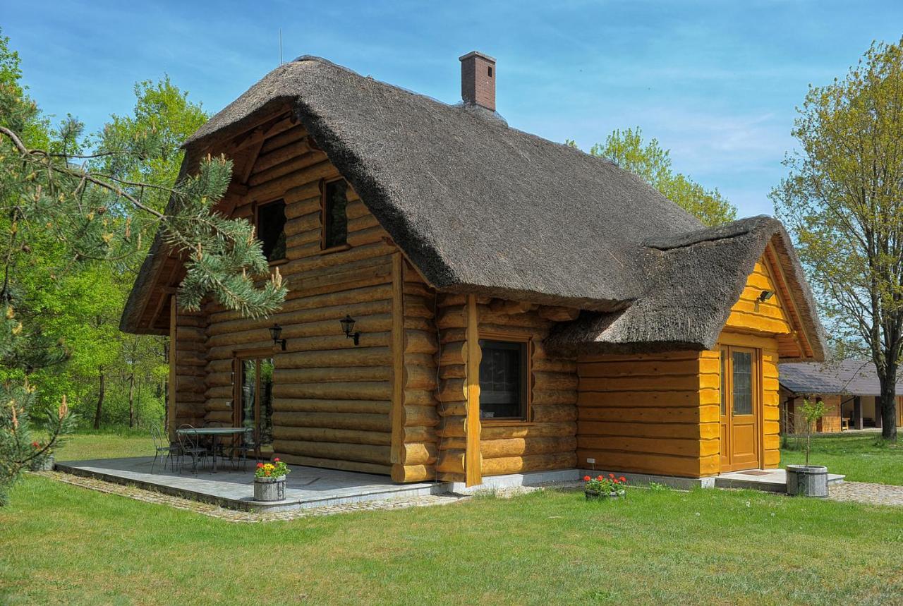 Villa Dom Pod Sosnami Gryżyna Exterior foto