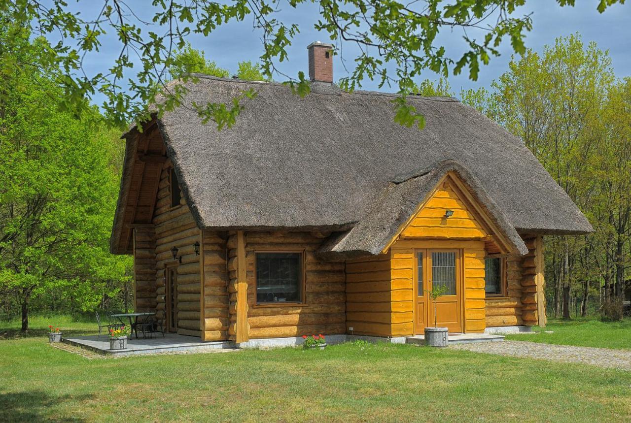 Villa Dom Pod Sosnami Gryżyna Exterior foto